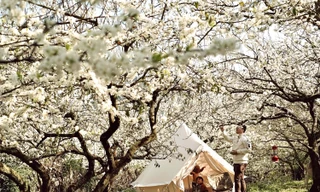 Nhiều người ‘sập bẫy’ đặt phòng khách sạn ở Mộc Châu 