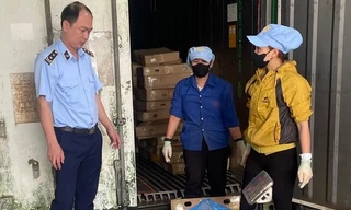 Thu giữ 370 kg chân gà đông lạnh, không rõ nguồn gốc xuất xứ