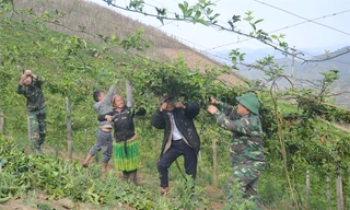 Sơn La vượt mục tiêu giảm tỷ lệ nghèo trên 3% mỗi năm