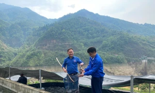 Chuyện về Thào A Lo - chàng trai khơi nguồn khát vọng thoát nghèo trên 'sống lưng khủng long'