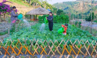 Trang trại đẹp như tranh giúp chàng trai Mường thu tiền tỉ mỗi năm