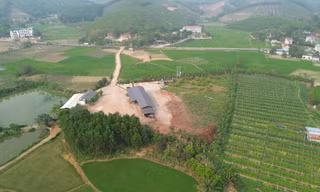 Xưởng chế biến gỗ khủng xây dựng trái phép trên đất nông nghiệp cách UBND xã 300m