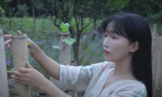 Lý Tử Thất 'nằm ngủ' cũng kiếm được 120.000 USD mỗi tháng