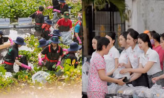 Thí sinh Hoa hậu Việt Nam 2024 thực hiện dự án cộng đồng ở tập 4 show thực tế