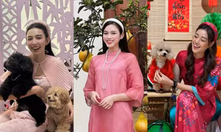 Đón Tết Giáp Thìn rực rỡ cùng các nàng hậu Việt, sắc màu nào được yêu thích nhất?