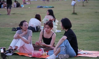 Hàng nghìn người đổ về cánh đồng diều 'xin một vé về tuổi thơ' dịp nghỉ lễ