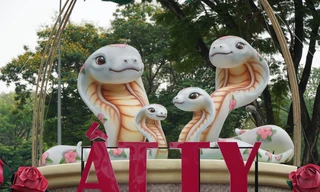 Lộ diện linh vật rắn tại công viên hơn trăm tuổi ở TPHCM