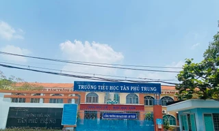 Cách chức hiệu trưởng trường tiểu học vì gây thương tích cho học sinh 