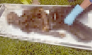 Tìm thân nhân bộ xương người; Sự thật vụ ‘thần điêu đại hiệp’ bốc đầu xe trên phố