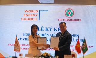 Ra mắt sàn giao dịch NFT thương mại tín chỉ carbon toàn cầu