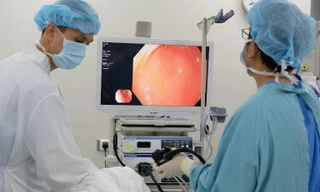 Ảnh minh họa: Internet