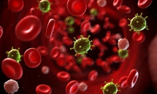 Ảnh minh họa: Internet