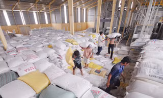Kho chứa chi nhánh Cái Sắn của Vinafood, là một trong những kho hiện đại nhất tại ĐBSCL	Ảnh: Kiến Giang