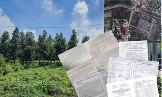 Thu hồi chục nghìn m2 đất của dân ở Bình Dương không có quyết định?