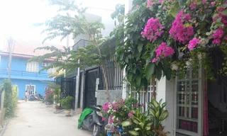 Dân nhận quyết định cưỡng chế trong thời gian 'cách ly toàn xã hội'