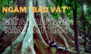 Ngắm 'báu vật' giữa đại ngàn Nam Cát Tiên