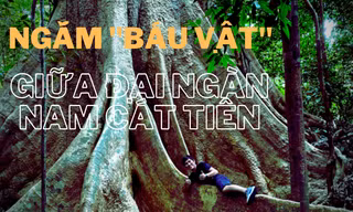 Ngắm 'báu vật' giữa đại ngàn Nam Cát Tiên