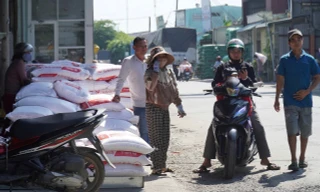 Lý do người dân đổ xô đi mua gạo 