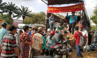 Bạn trẻ mua 27 tấn dưa hấu mang về phát miễn phí