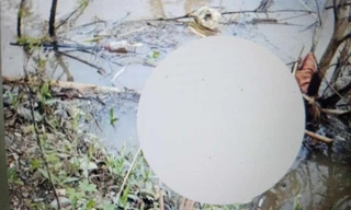 Khu vực phát hiện thi thể cháu bé. (ảnh: D.C)