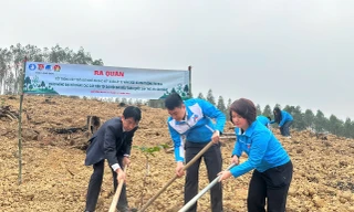 Thanh niên Lạng Sơn trồng cây đầu xuân. 