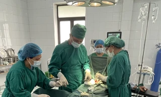 Cấp cứu bệnh nhân bị bò húc. Ảnh: CB