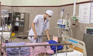 Gia tăng bệnh nhân bị ngã do hái hoa hồi. Ảnh: BV