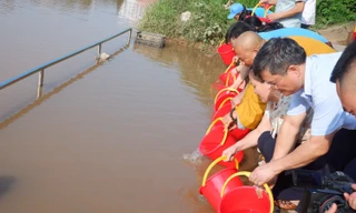 Thả cá trên sông Kỳ Cùng.