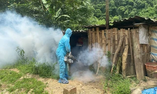 Phun khử trùng chuồng trại ở Lạng Sơn. Ảnh: B.P