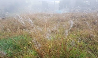 Băng giá xuất hiện trên đỉnh Mẫu Sơn -Ảnh: HT