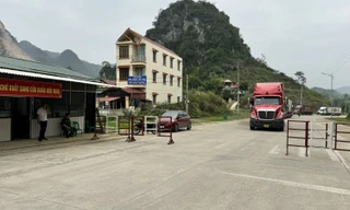 Xe ô tô chở hàng xuất khẩu vào khu phi thuế quan. 