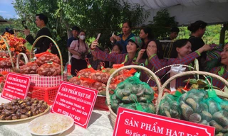 Hạt dẻ xứ Lạng hút khách gần xa. Ảnh: Duy Chiến 