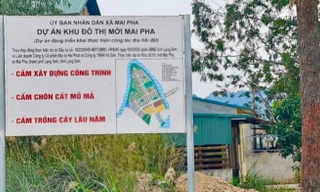 Hai cán bộ chuyên môn Tài nguyên- môi trường Lạng Sơn bị khởi tố liên quan đến sai phạm Dự án Khu đô thị Mai Pha -Ảnh: TL