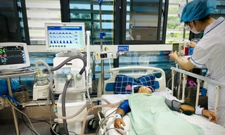 Cấp cứu bệnh nhân bị ong đốt ở Lạng Sơn. 