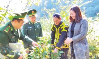 Bộ đội Biên phòng Lạng Sơn đồng hành, hỗ trợ người dân phát triển kinh tế, giảm nghèo bền vững. 