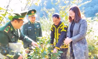 Bộ đội Biên phòng Lạng Sơn đồng hành, hỗ trợ người dân phát triển kinh tế, giảm nghèo bền vững. 