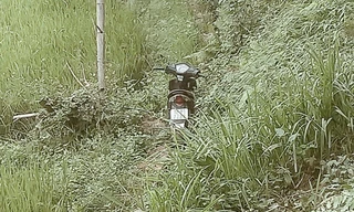 Hiện trường vụ tai nạn, 