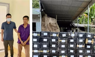 Bắt vụ vận chuyển số lượng lớn thuốc lá, rượu ngoại qua biên giới