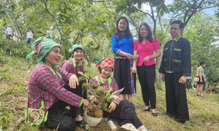 Giao lưu văn nghệ mừng mùa hạt dẻ bội thu. Ảnh: Duy Chiến 