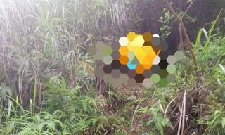 Vị trí tìm thấy thi thể bà Ninh