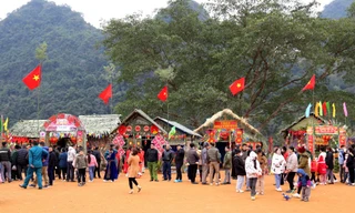 Khai mạc Lễ hội hoa đào 2023