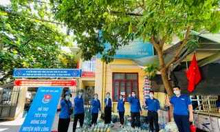 Tuổi trẻ Lạng Sơn quyết tâm "vượt nắng, thắng mưa" giải cứu nông sản cho bà con vùng dịch. - Ảnh: Duy Chiến 