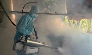 Đơn vị chức năng Lạng Sơn quyết liệt ngăn chặn dịch tả lợn châu Phi. 