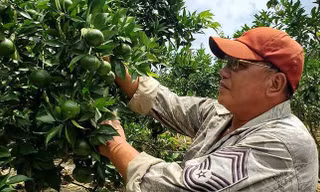 Ông Dương Văn Dũng, lão nông điển hình làm kinh tế giỏi ở huyện Bắc Sơn, Lạng Sơn -Ảnh: PV