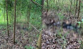 Hiện trường sự việc. 