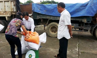 Người dân Cao Bằng nhận gạo cứu trợ