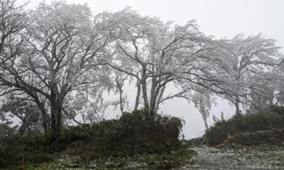 Đỉnh Phja Oắc, Mẫu Sơn xuống dưới 0 độ C, băng giá bao phủ trắng
