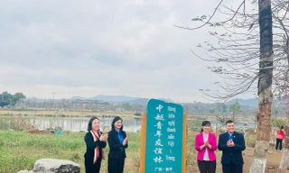 Xây dựng 'Rừng cây xanh thanh niên Việt- Trung". 