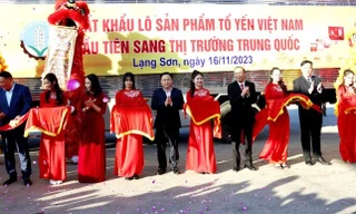 Xuất khẩu tổ yến sang Trung Quốc.