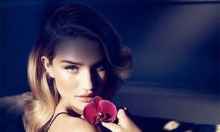 Ảnh minh hoạ: Internet